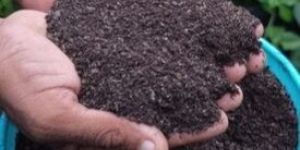 Vermicompost Fertilizer
