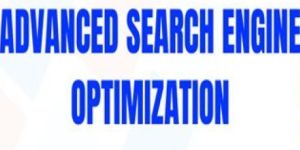 Advanced Search Engine Optimization 40 Hours Days 40 4 Months