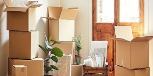 Packers and Movers Services