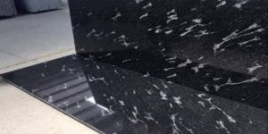 Fish Black Granite Stone