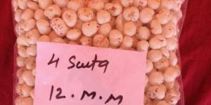 12mm phool makhana