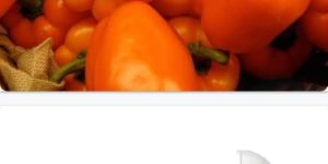 Capsicum Green House