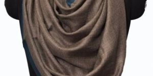 dark brown solid pashmina blue border shawl