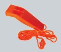Whistle Lanyard