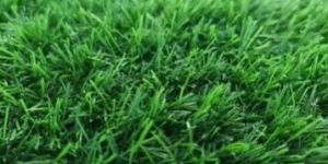 25 Mm Lush Green Artificial Grass
