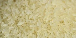 Swarna Rice