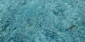 Light Green Float Glass Cullet