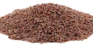 Psyllium Seeds