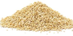 Quinoa Seeds