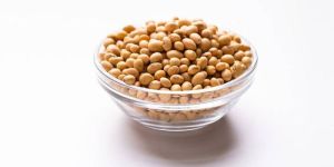 Soy Bean
