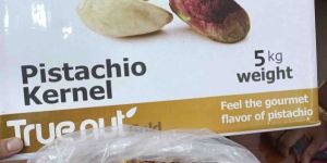 Trunut Irani Pista Kernel