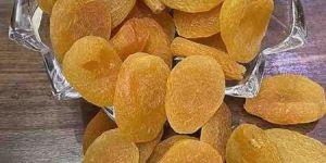 Turkish Apricot