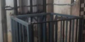 Mild Steel 5 HP Electric Hydraulic Goods Lift