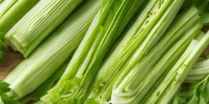 Celery