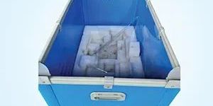 PP Tray WITH EPE Foam Fitment