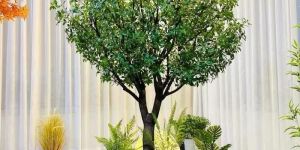 Green Ficus Artificial Tree