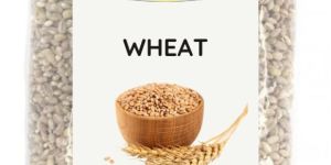Wheat