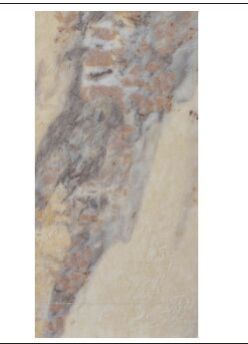 Stone Veneer Stone Slate Onyx