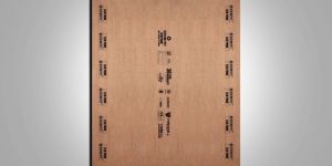 Waterproof Club Prime Plywood