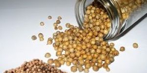Coriander Seeds