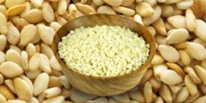 Sesame Seeds