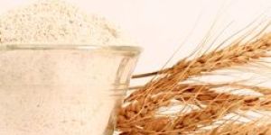 Wheat Flour