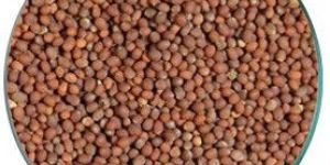 Brown Mustard Seeds