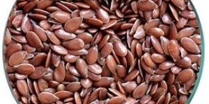 Flax Seeds