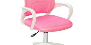 Alex Daisy Mesh Study Chair