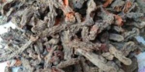 Mother Turmeric (Panagali Manjal)