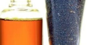 Mustard Oil