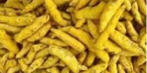 Turmeric Fingers Sanam
