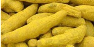Turmeric Fingers Super Bold
