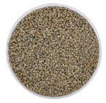 Green Millet