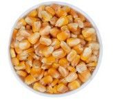 Maize