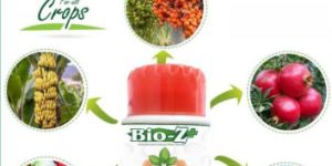 Herbal Organic Fungicide