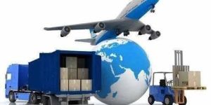 Domestic Air Courier Services