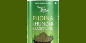 Pudina Thunder Seasoning