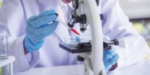 Physico-Chemical Studies