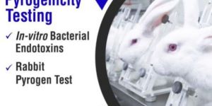Pyrogenicity Testing Services