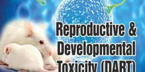 Reproductive and Developmental Toxicity Studies Services