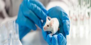 sub chronic toxicity service