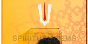 Shaligram Sudarshan Shila