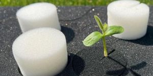 PU Foam Cubes for Agriculture