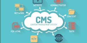 Customized CMS Development Service