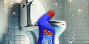 Toilet Cleaners