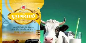 dudh malai mix pashu aahar