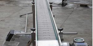 Stainless Steel Chain Conveyor