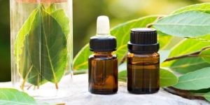 Bay Leaf Essential Oil