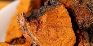 Chaga Mushroom